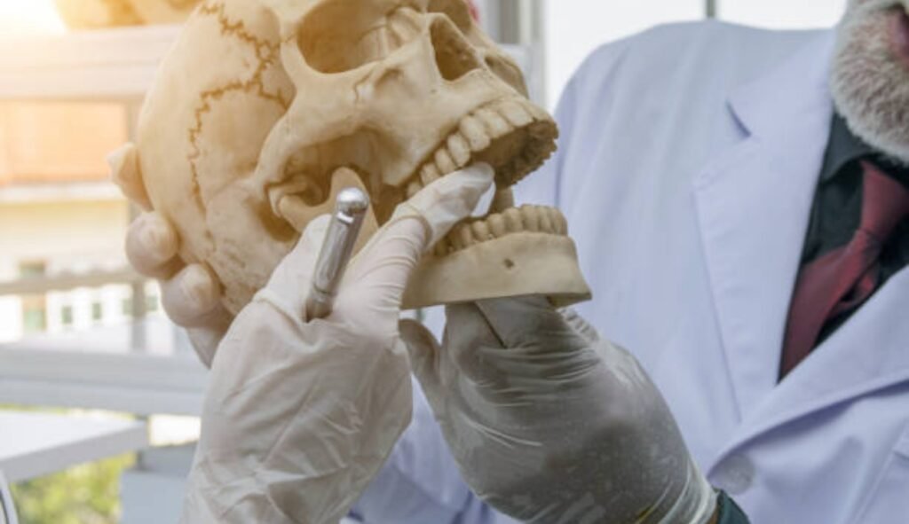 what is a bone graft